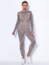 2 Piece Seamless Yoga Outfit Tracksuit