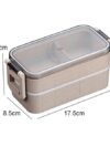 Thermal snack electric heated lunch box