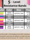 Fitness Resistance Bands Rubber Bands For Fitness Resistance Bands Elastic For Sport Bodybuilding Resistance Band Fitness Sport